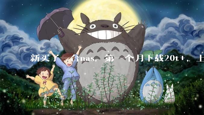 新买了一台nas，第一个月下载20t+，上传5+，不会被网警盯上吧?