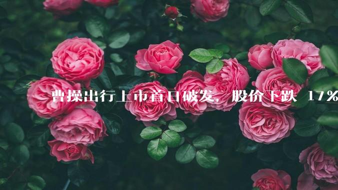 曹操出行上市首日破发，股价下跌 17％，市值失守 200 亿港元，如何看待这一表现？