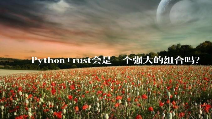 Python+rust会是一个强大的组合吗？